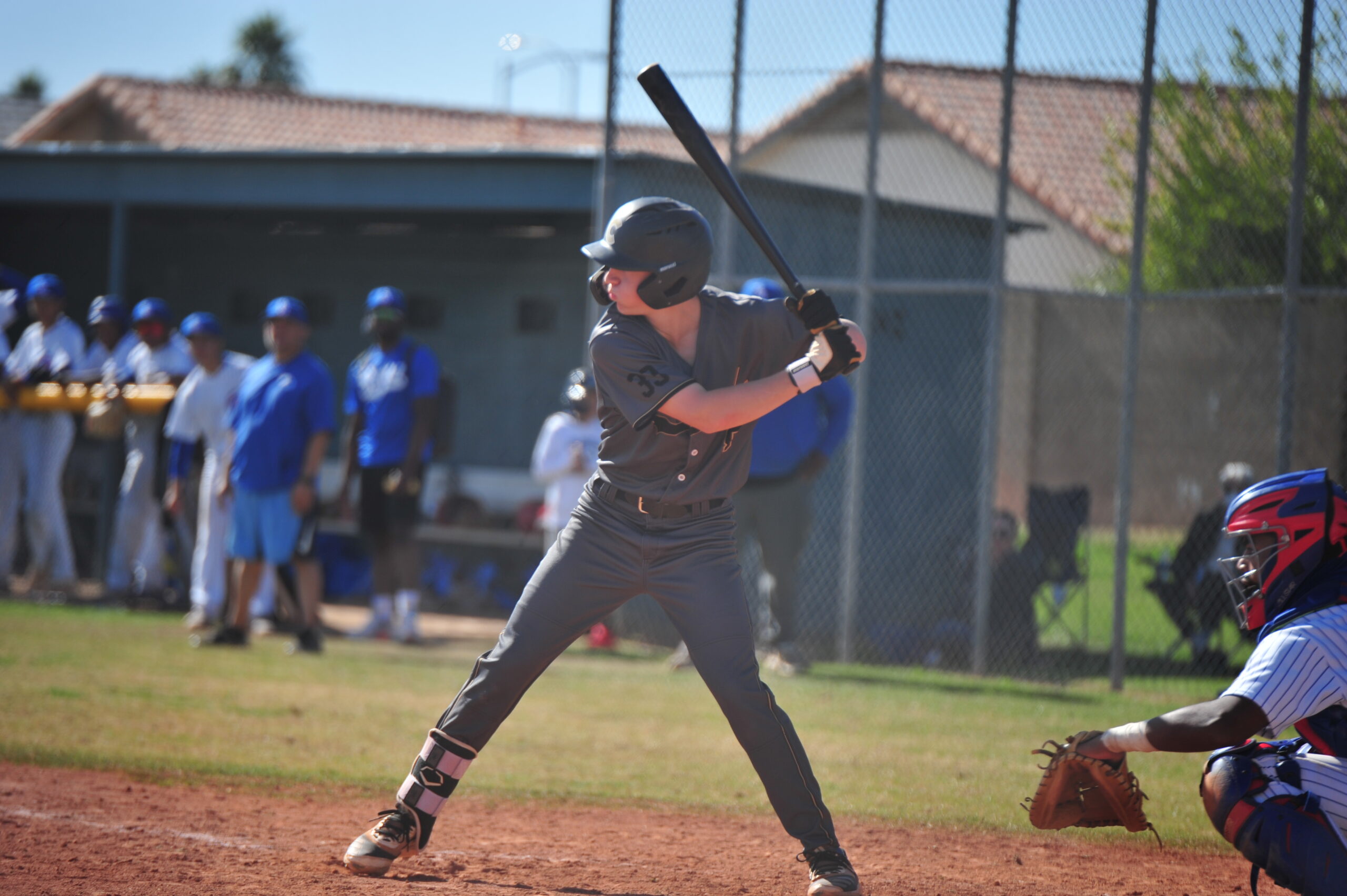 Baseball Academy - Baseball School